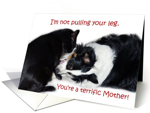 Terrific Mother, card (606699)