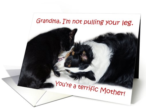 Terrific Mother, Grandma card (606702)