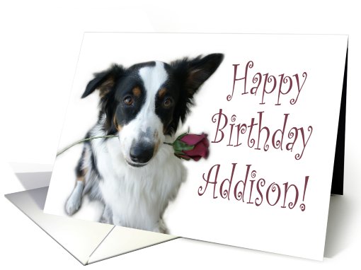 Birthday Rose for Addison card (653564)
