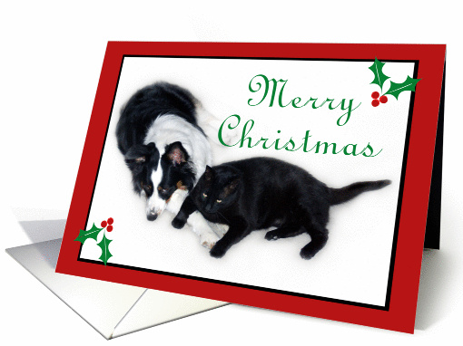 Merry Christmas Aussie and Cat card (990997)