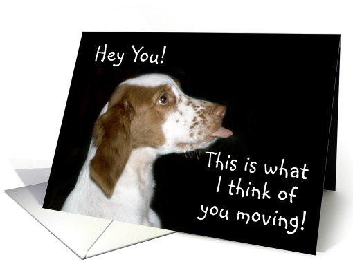 Brittany Spaniel Moving card (483660)