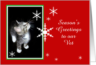 Kitten and Snowflakes, Vet card