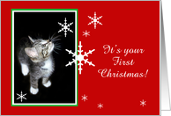 Kitten and Snowflakes, First Christmas card