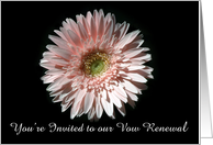 Pink Daisy, Vow Renewal Invite card