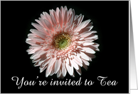 Pink Daisy, Tea Invite card