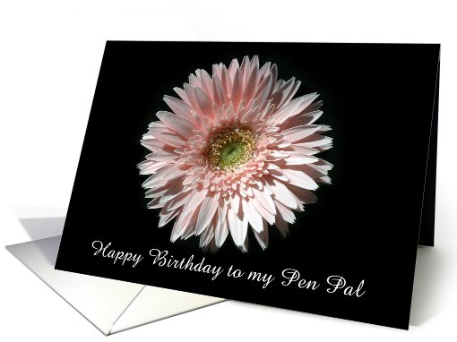 Pink Daisy, Happy Birthday Pen Pal card (498307)