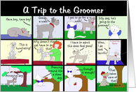 Trip to the Dog Groomer Cartoon, Appointment Reminder card