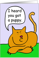 Tabby Cat Puppy Owner Congratulations card