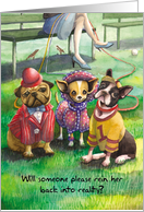 Dressed Up Dogs : Funny Birthday card