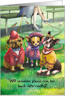 Dressed Up Dogs : Funny Anniversary card