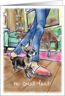 Chihuahua Shadow : Congratulations card