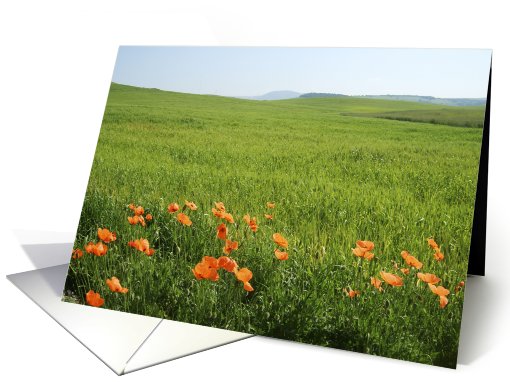 Poppies in a green field card (494513)