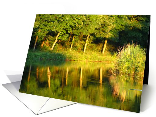 evening light and reflections card (494641)