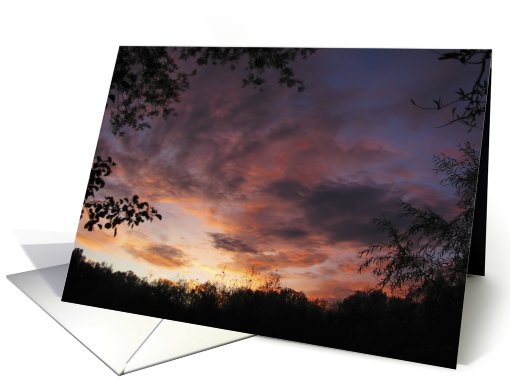 sunset clouds framed between trees card (497762)