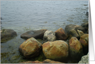 Rocks Along the Beach (Blank) card