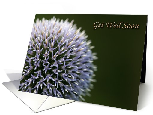 flower get well soon card (495864)