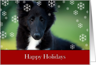 happy Holidays, puppy, collie, card