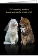 Getting Married Announcement Cats card