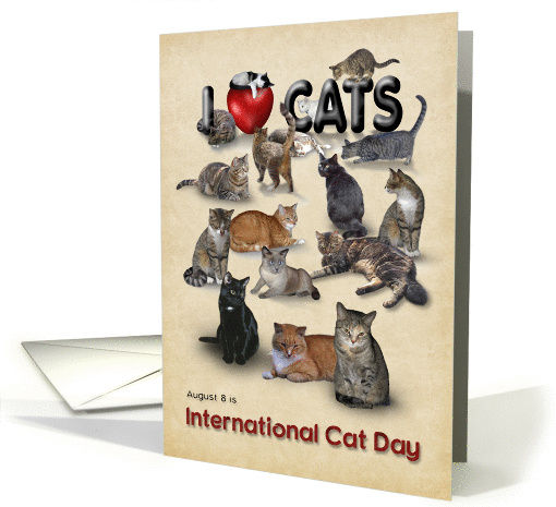 I love Cats - International Cat Day card (1442794)