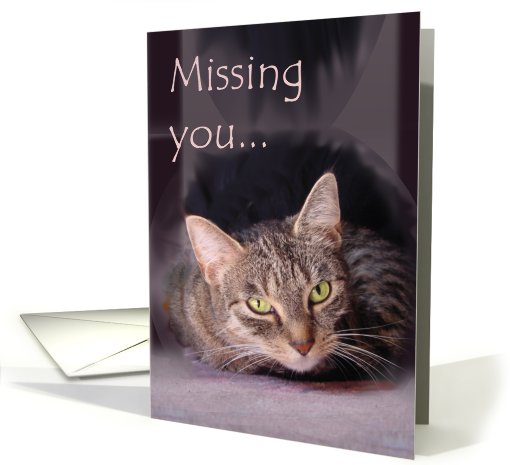 Missing you cat-photo-card card (475446)