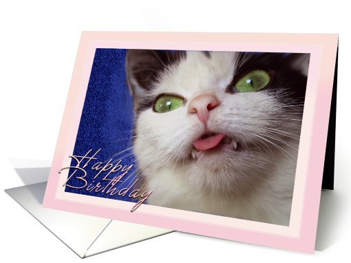 Birthday Kitty card (477551)