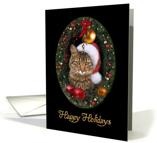 Santa Cat card (503468)
