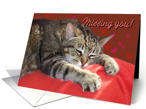 Missing you Cat card (544326)