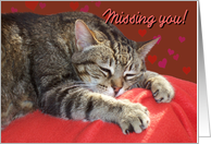 Missing you Cat card