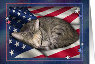 Cat with Flag, 4th of July card