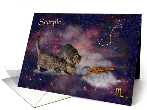 Scorpio Birthday - for Cat Lovers card (847785)