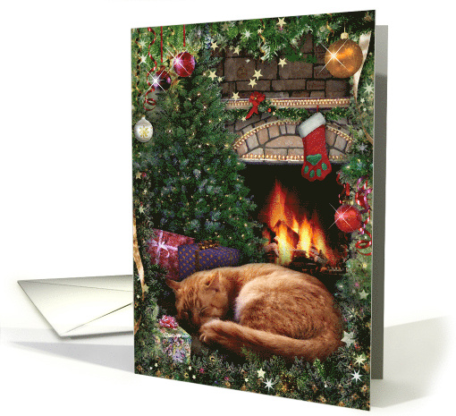 Christmas Cat card (943668)