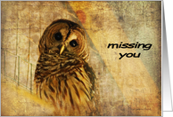 Barred Owl With Textures - Missing You card