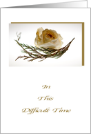 Dried White Rose - Sympathy Card