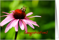 Congratulations - flower and bee card