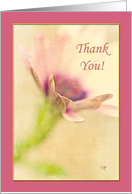 Lavender Bordered Floral Thank You Card