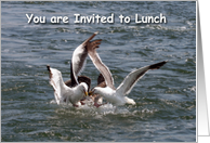You are invited to lunch seagulls card