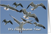 Class Reunion Sea Gulls in Mid-air card