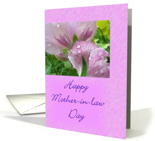 Mother-in-Law Day card (492161)