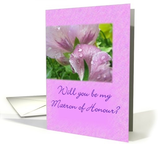 Will you be my Matron of Honour? card (493466)