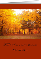 Fall Foliage nature’s true colors card