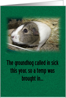 Groundhog/Guinea Pig Day card