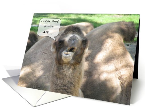 Happy 43rd Birthday Camel card (713075)