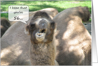 Happy 56th Birthday Camel card