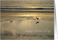 Happy Father’s Day - Sand Piper card