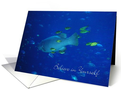 Believe in Yourself - Stand Out Fish card (817028)