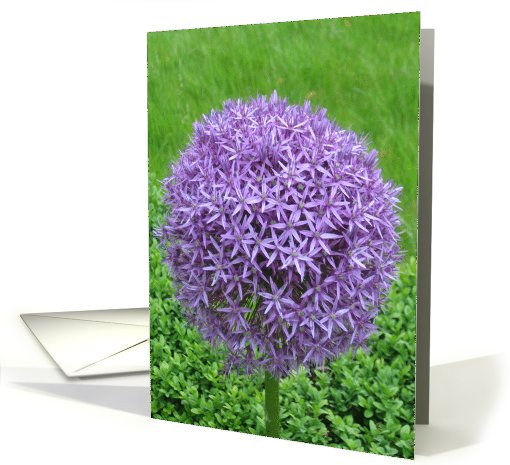 Ball of Purple Flowers card (829541)