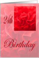 Happy 24th Birthday Dianthus Red Flower card