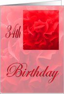 Happy 34th Birthday Dianthus Red Flower card