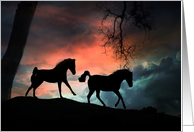 Pretty and Fun Horse Happy Birthday, Two Horses Southwestern Sky card