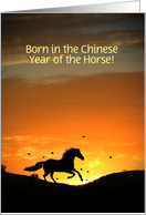 Happy Birthday Year of the Horse card